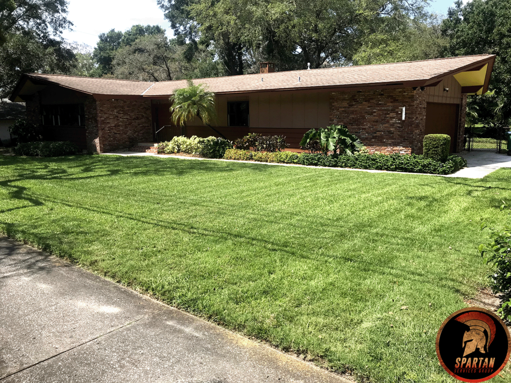 Recently mowed lawn.
